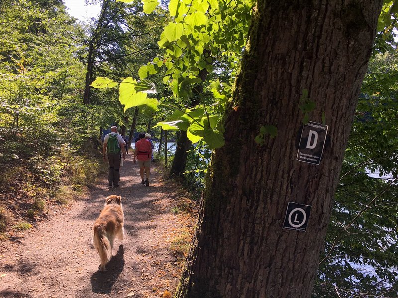 Wanderer mit Hund