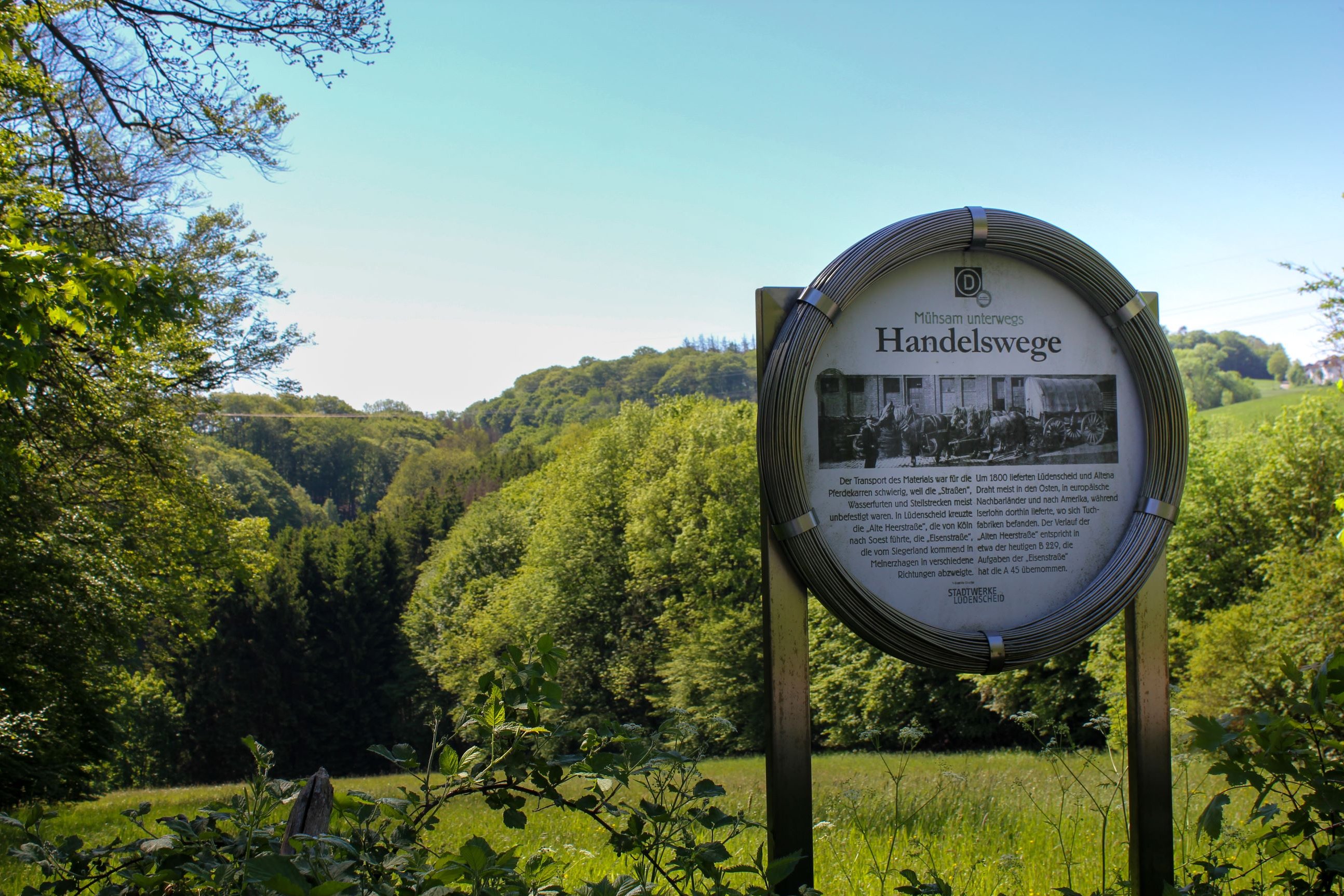 Drahtrollenschild in grüner Landschaft