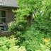 Vorschau: 