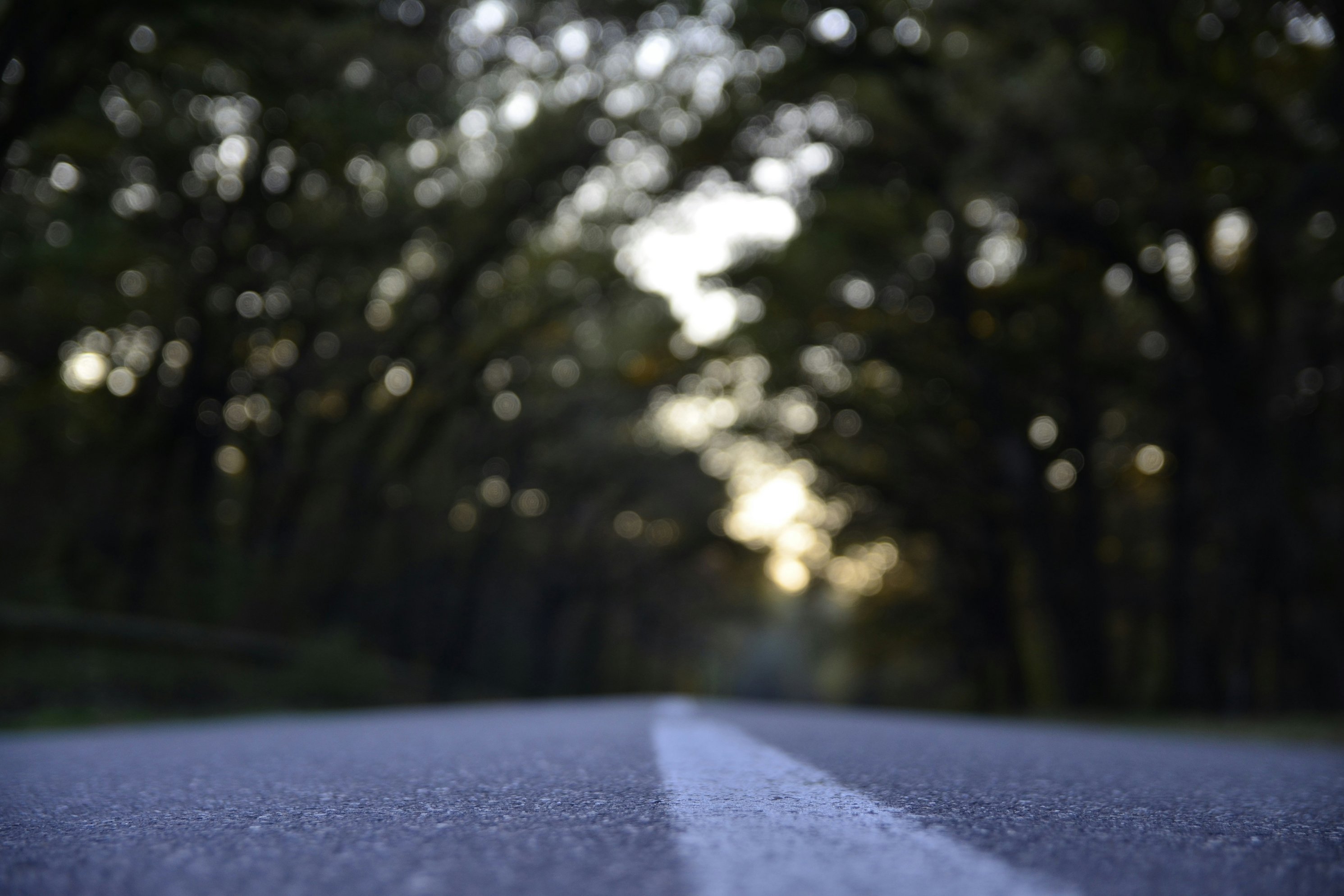 Nahaufnahme einer Straße mit Mittelstreifen bei Dämmerung. Im Hintergrund sind Bäume zu sehen.