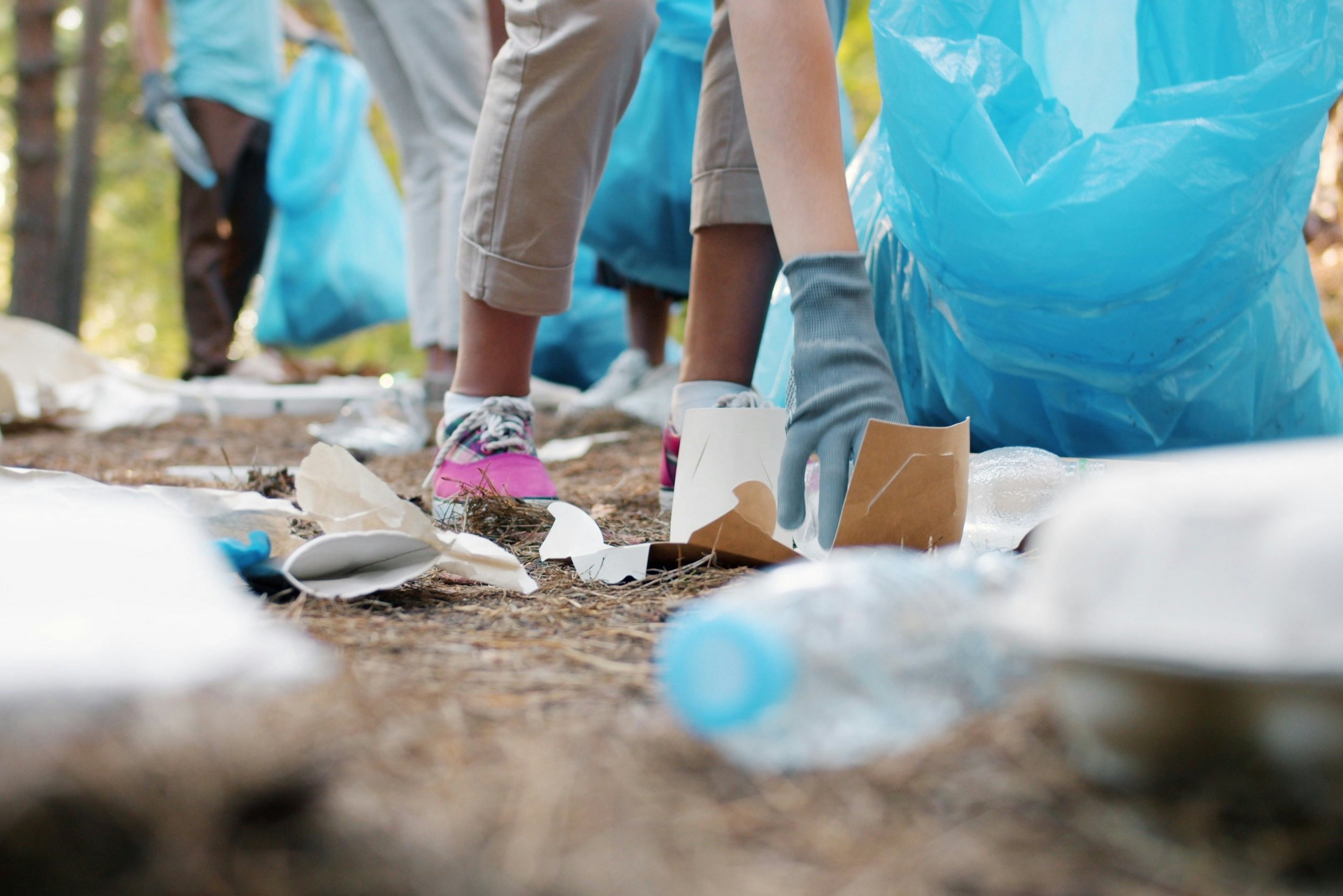Auf einem Waldboden liegender Müll wird eingesammelt. 