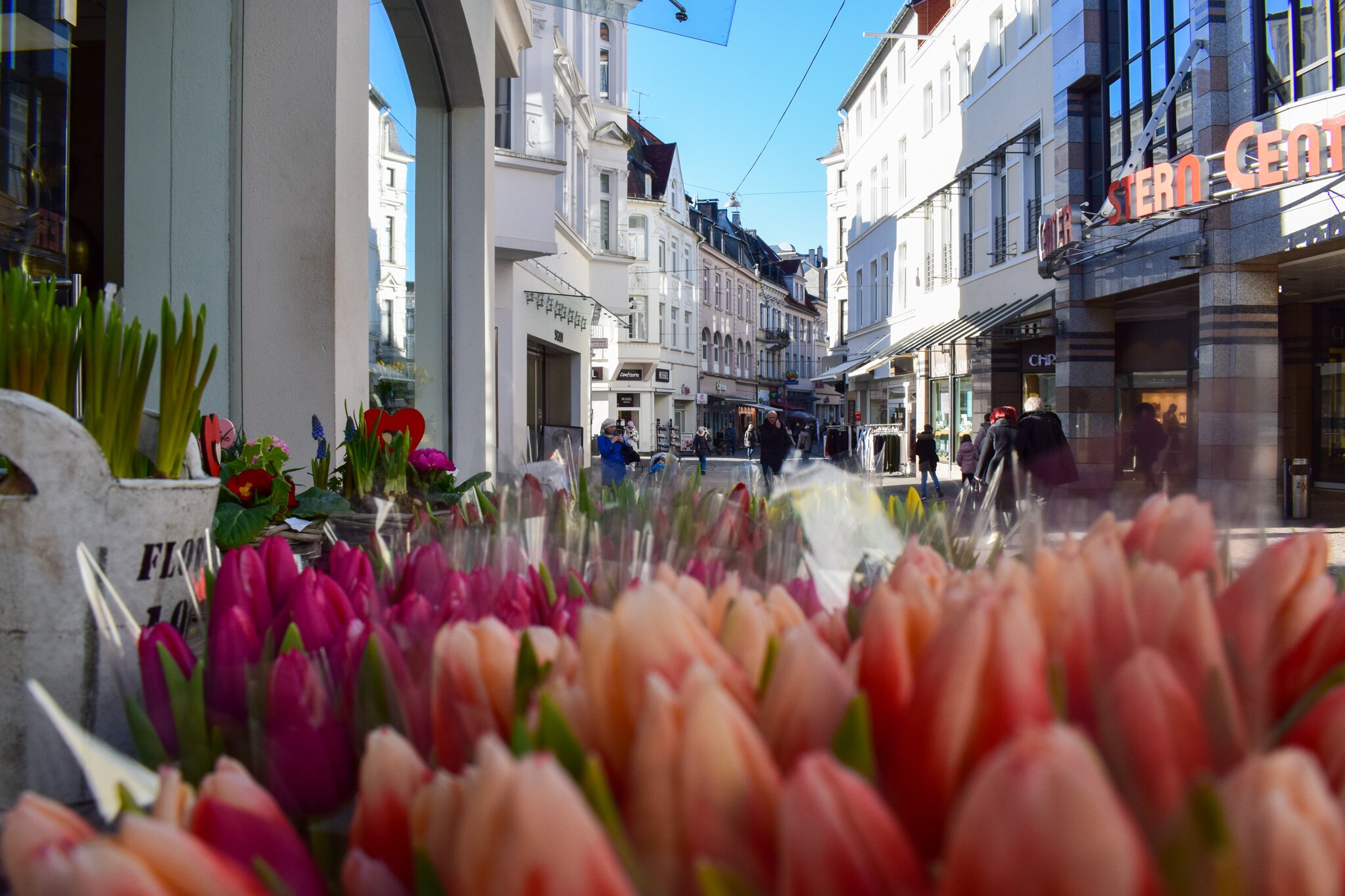 Blumenladen in der Wilhelmstraße