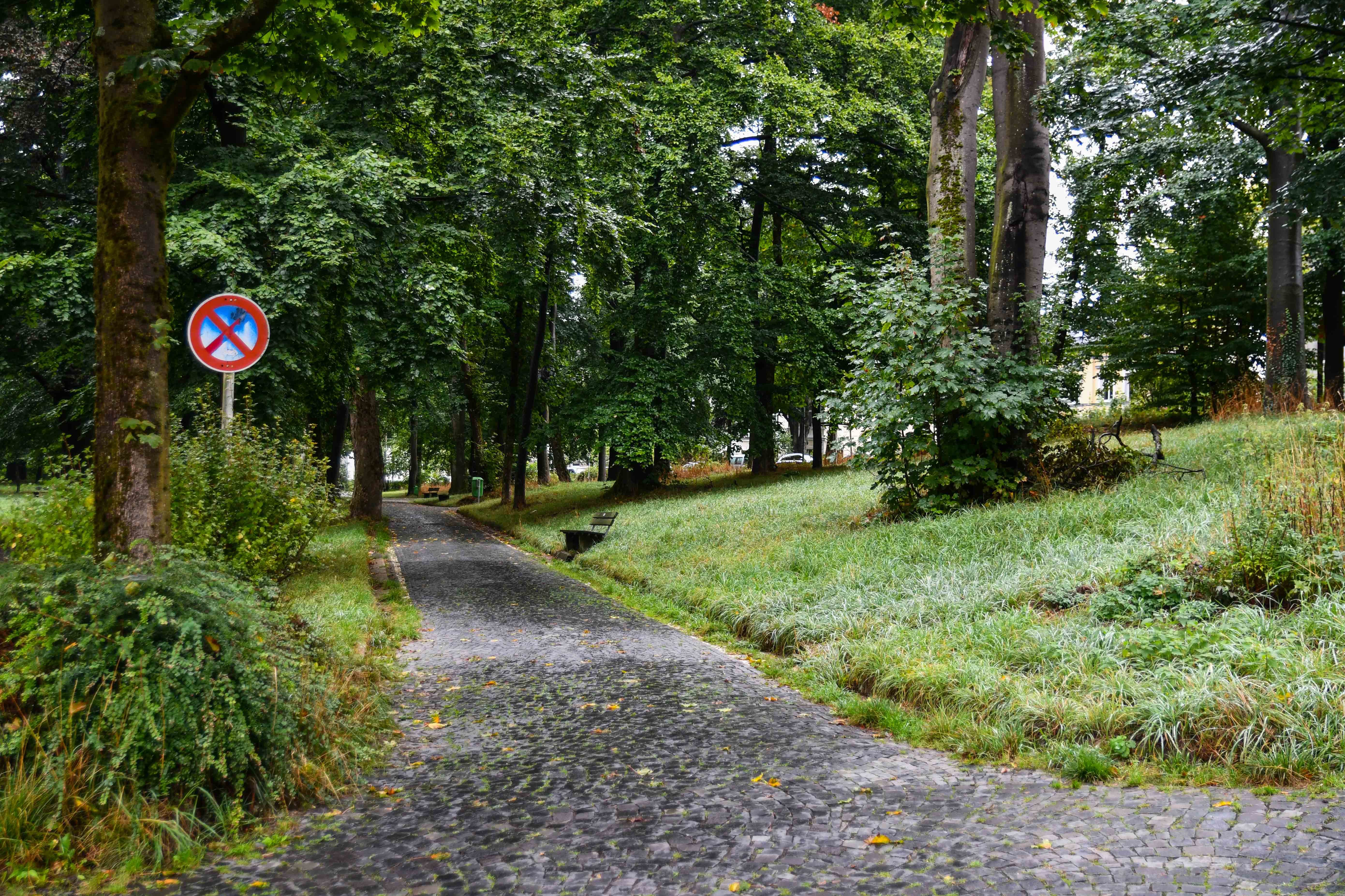 Ein gepflasterter Weg führt in einen von vielen Bäumen gesäumten Park.