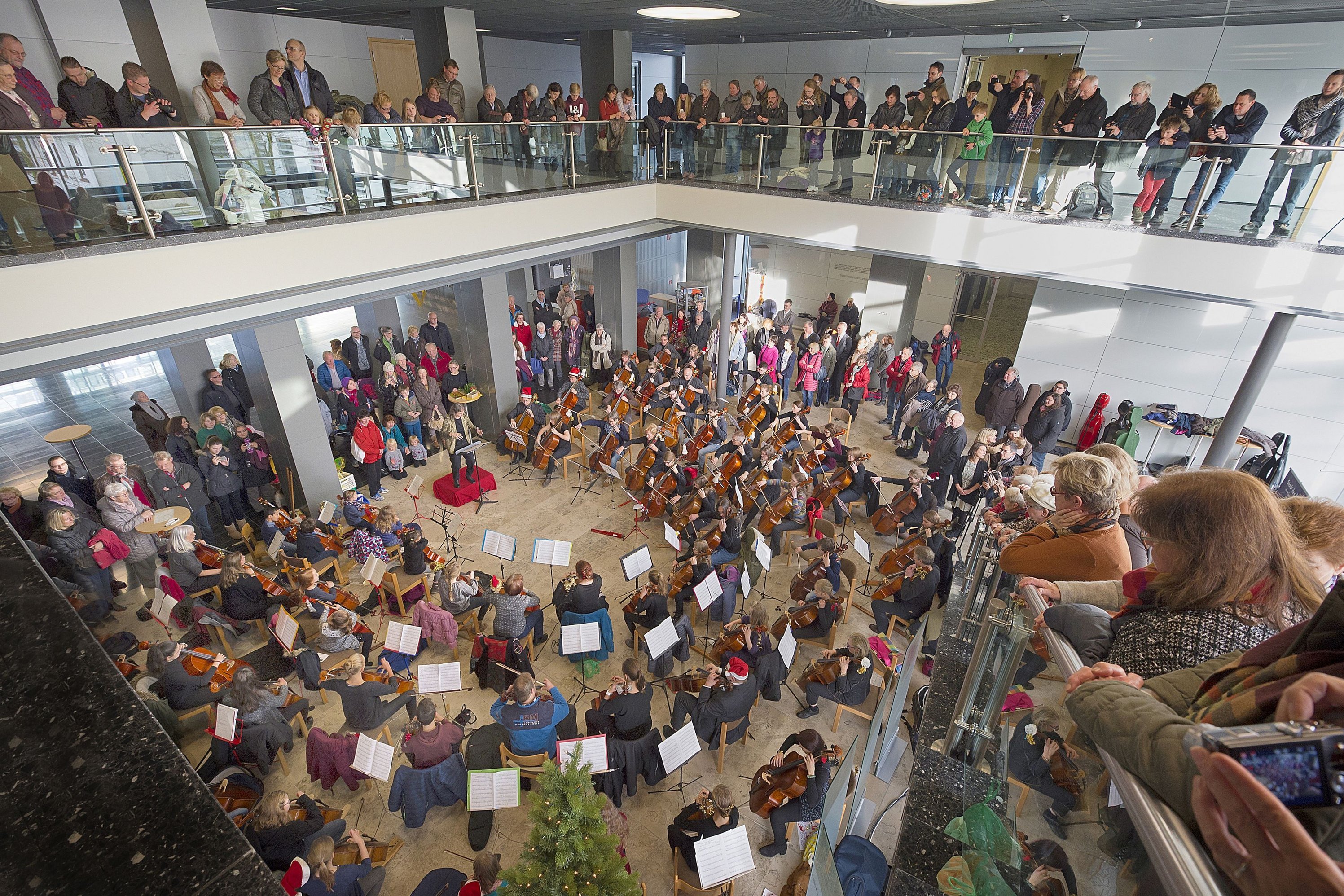 Das Rathausfoyer voller Cellisten bei der 50-Jahr-Wette
