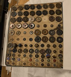 Eine Seite mit Knöpfen aus einem Musterbuch.