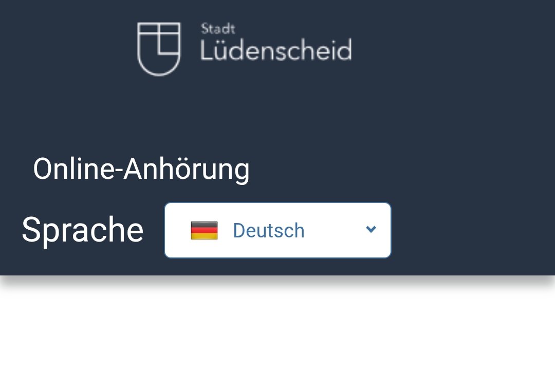 Ansicht des Online-Anhörungsformulars.
