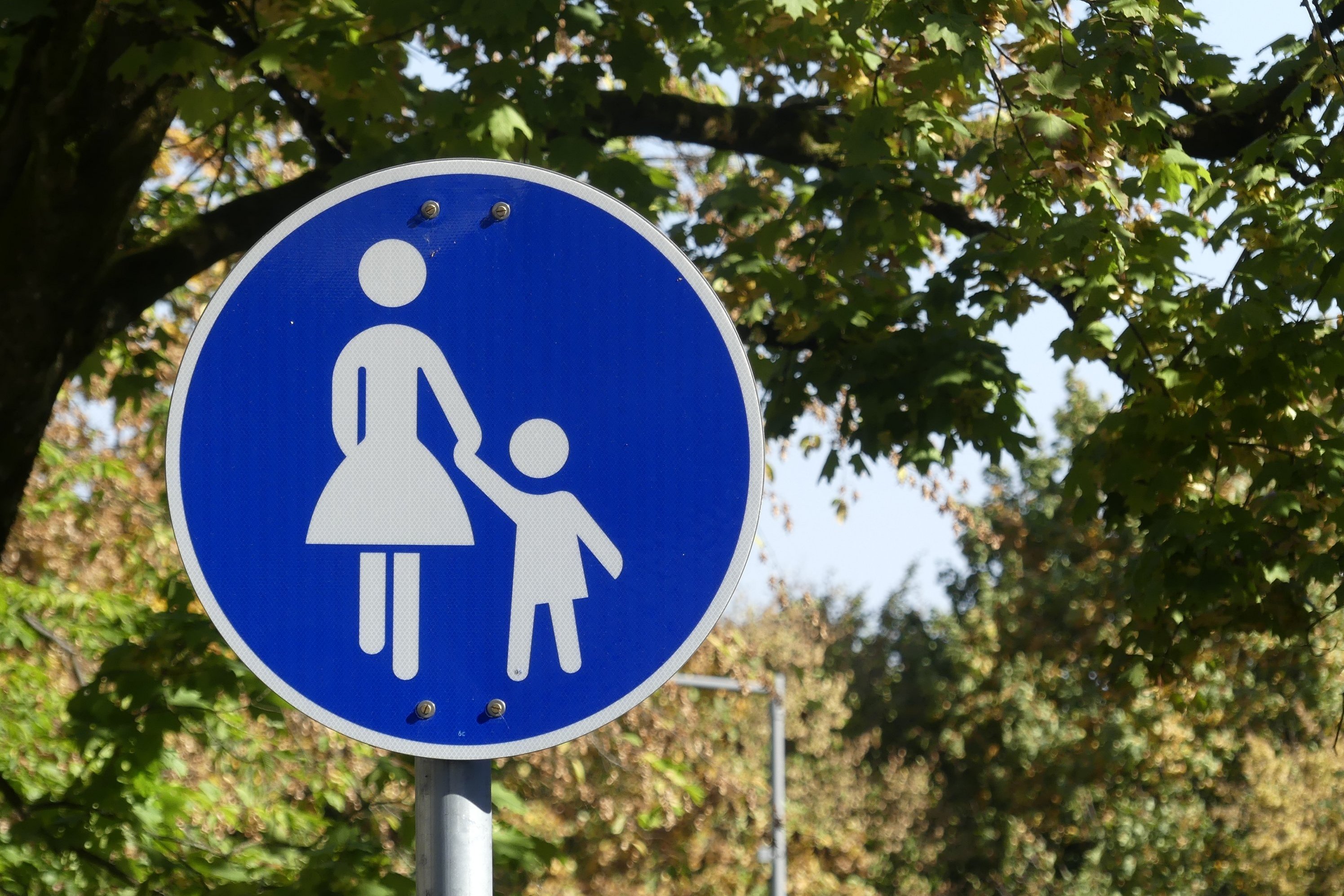 Verkehrsschild Fußgängerweg