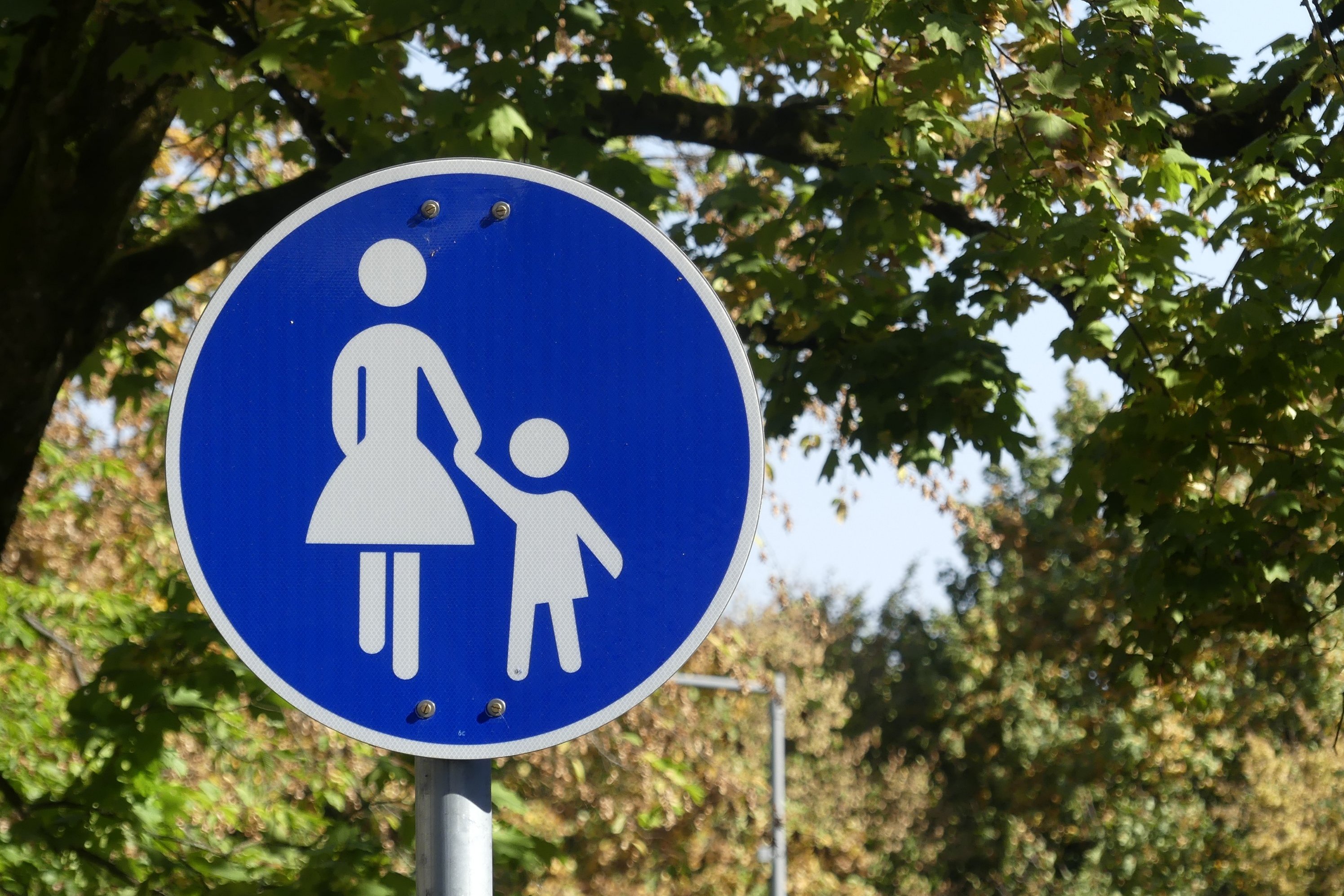 Verkehrsschild Fußgängerweg