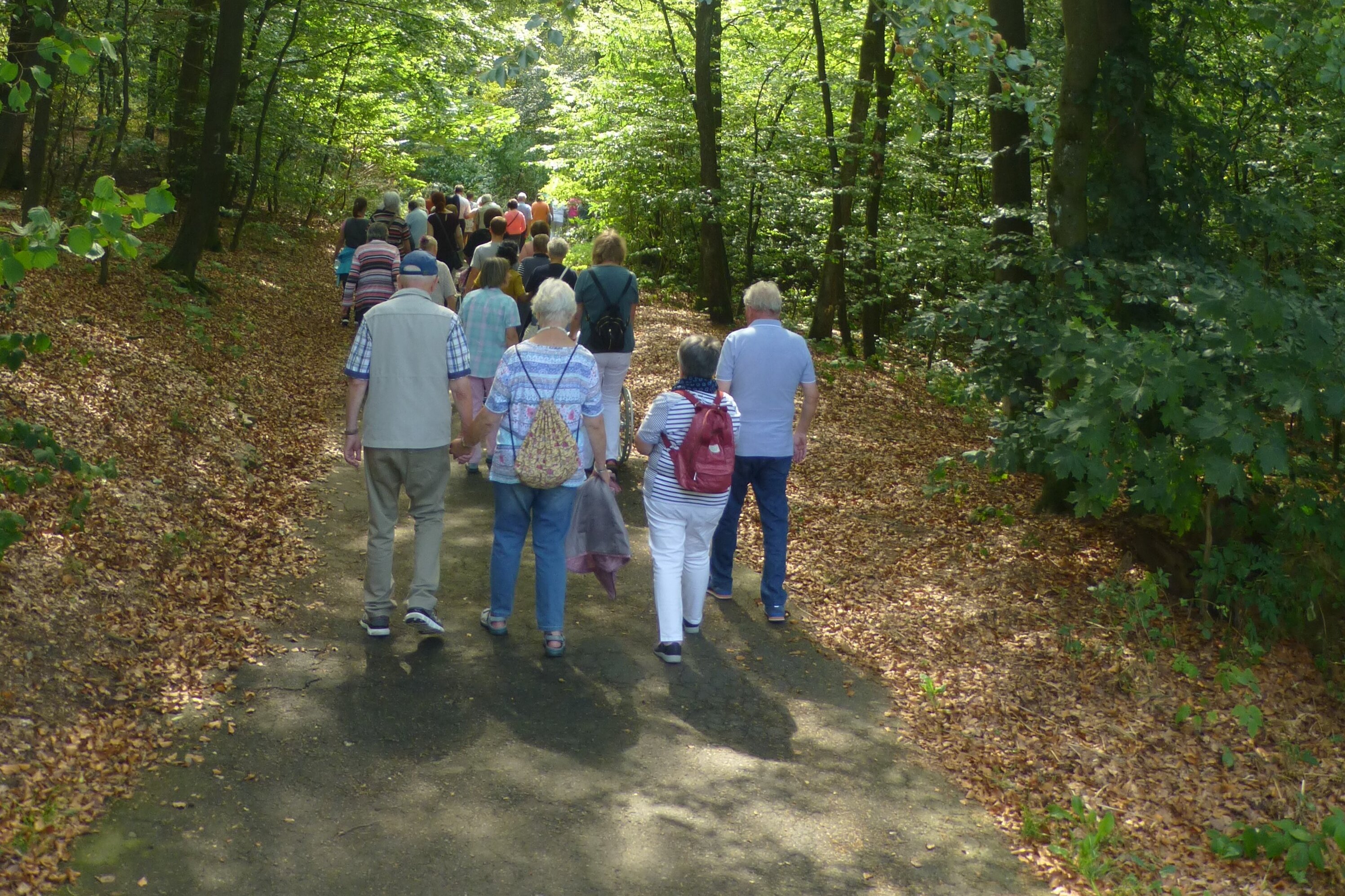 Eine Senioren-Wandergruppe auf einem Waldweg