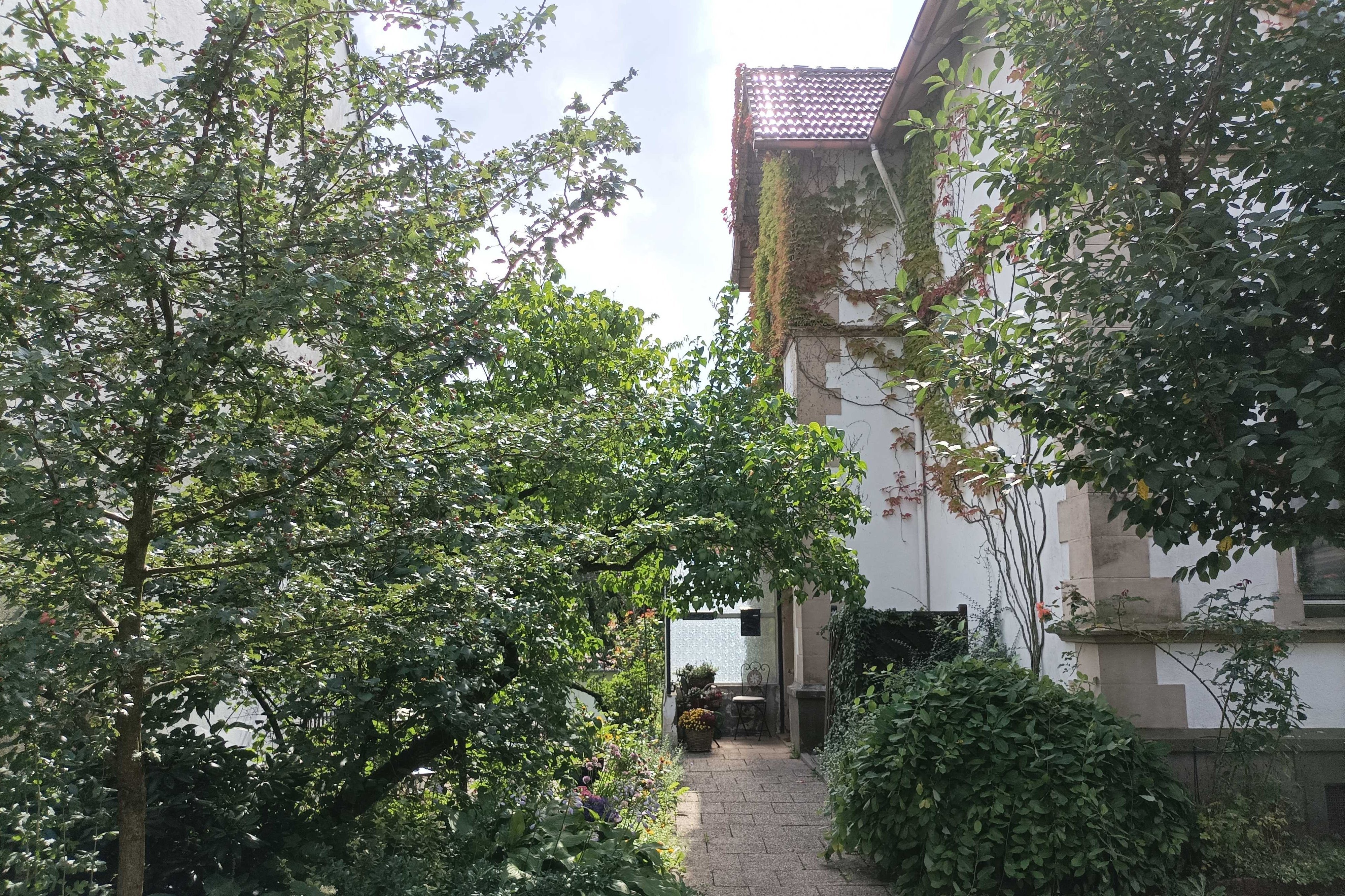 Wohnhaus mit Bäumen und viel Grün im Vorgarten