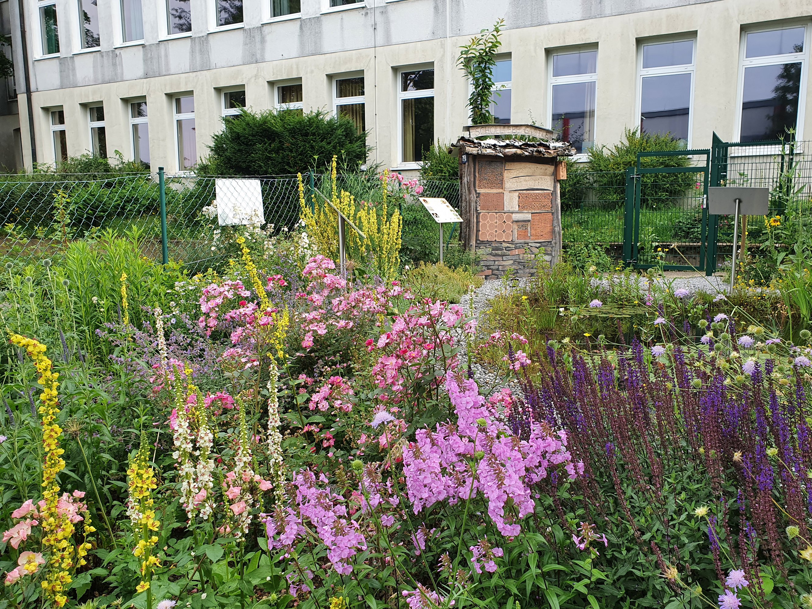 Beet mit blühenden Stauden